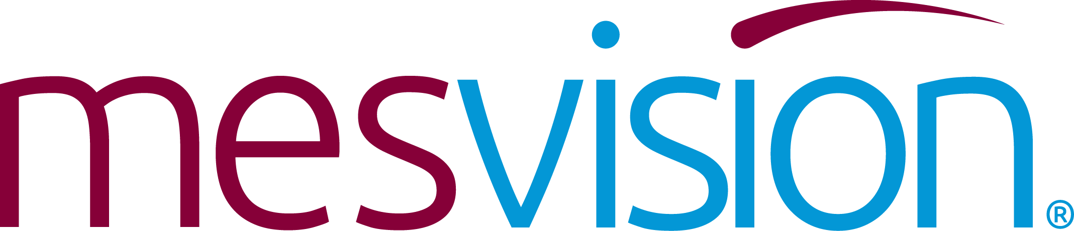 MESVision logo